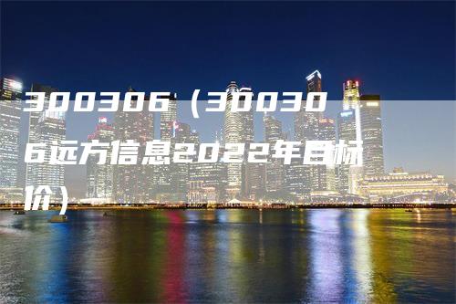 300306（300306远方信息2022年目标价）